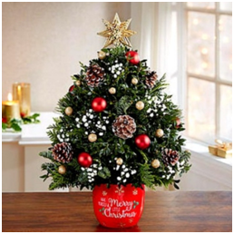 Order Online Gifts in Time for Christmas
