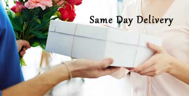 Send Same Day Gifts online Send Same Day Gifts online